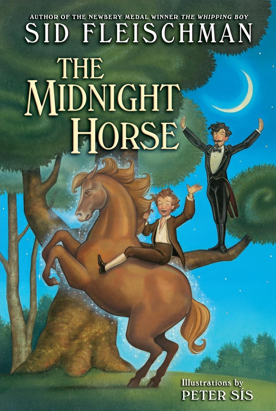 Vorderes Coverbild Midnight Horse, The
