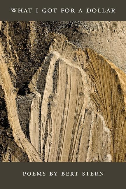 Vorderes Coverbild What I Got for a Dollar