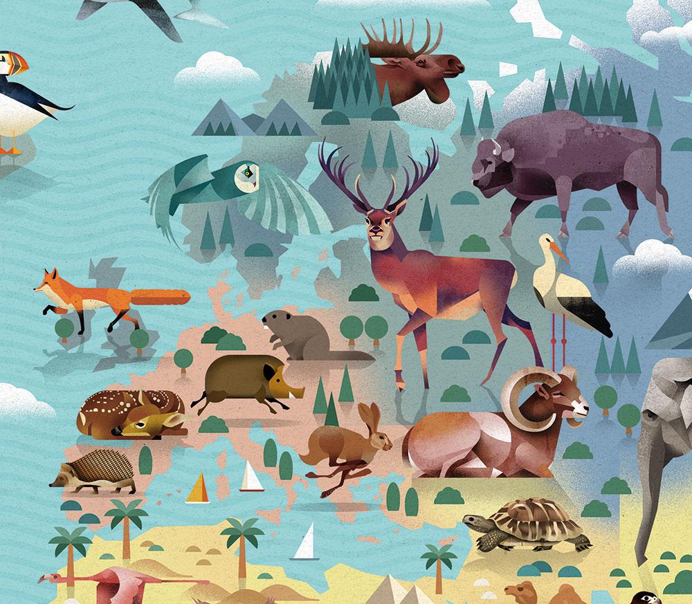Beispielinhalt (Bild) Die Welt der Tiere