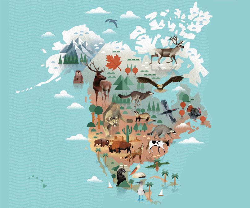 Beispielinhalt (Bild) Die Welt der Tiere