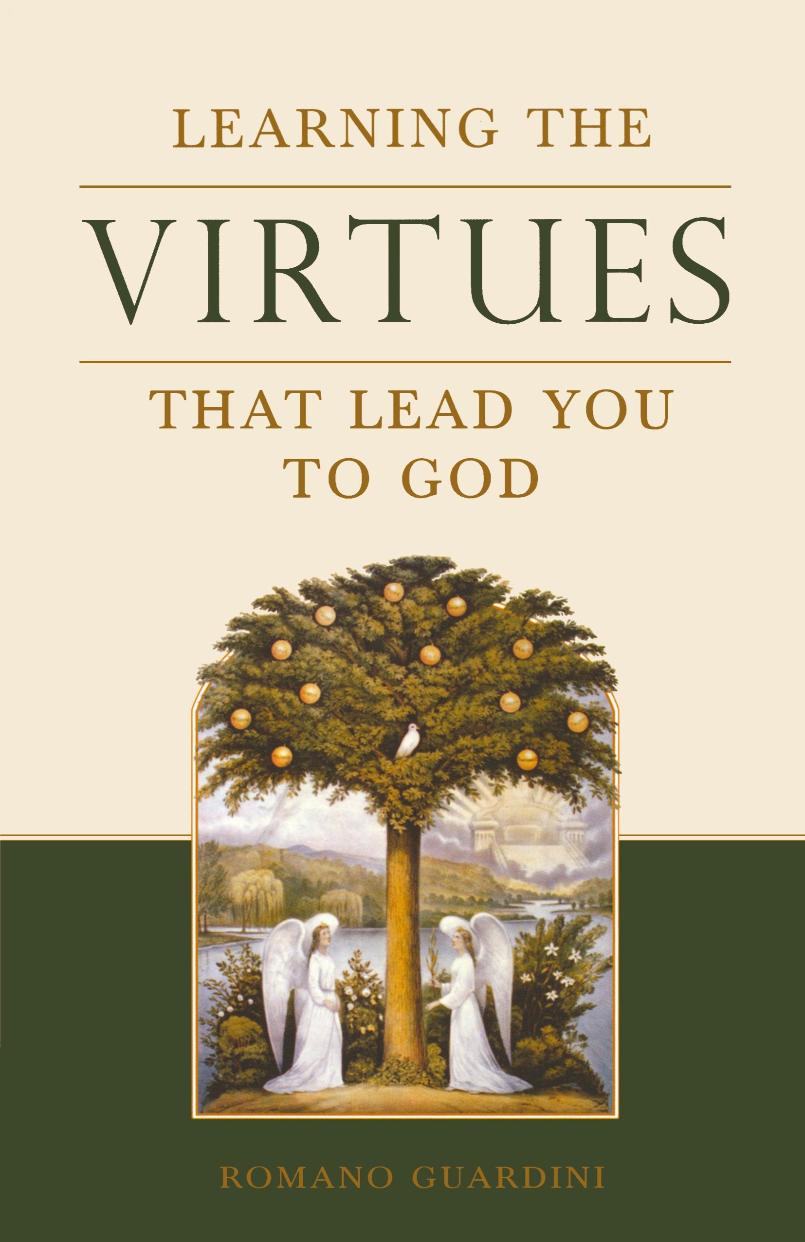 Vorderes Coverbild Learning the Virtues