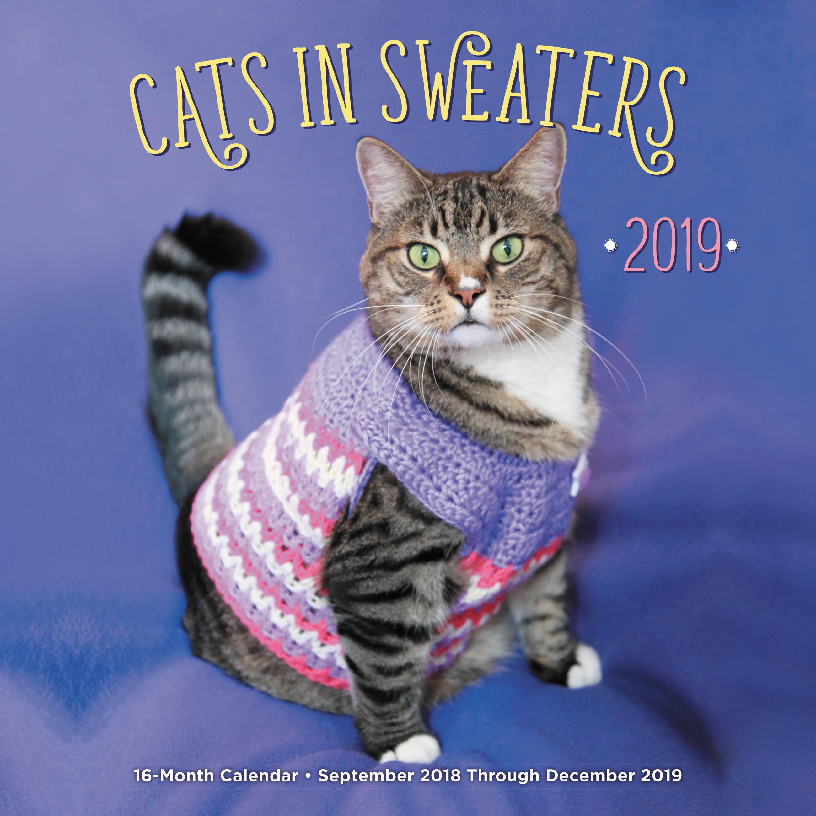 Vorderes Coverbild Cats In Sweaters 2019