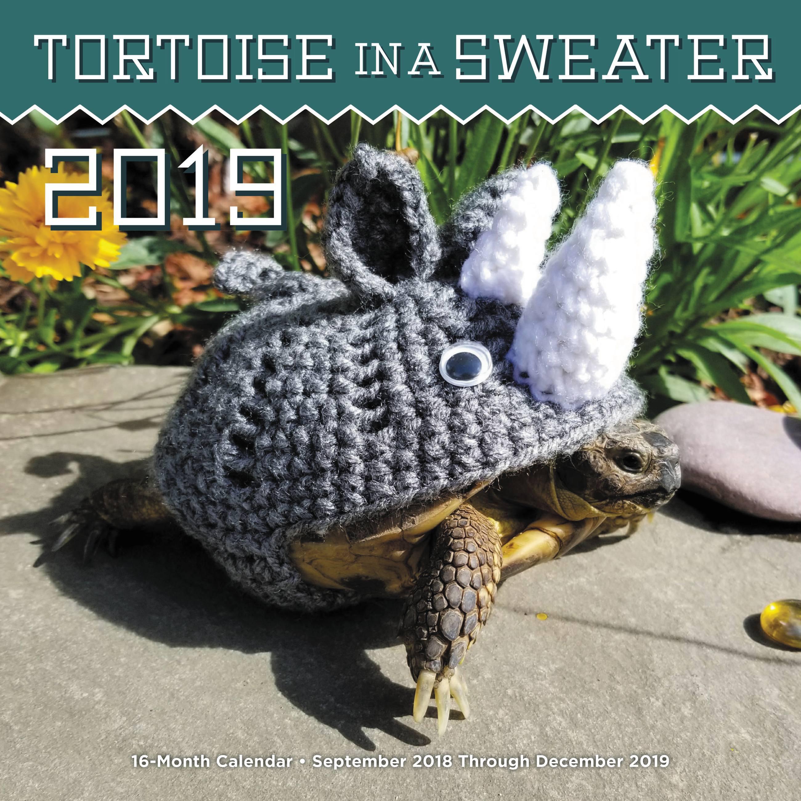 Vorderes Coverbild Tortoise in a Sweater 2019