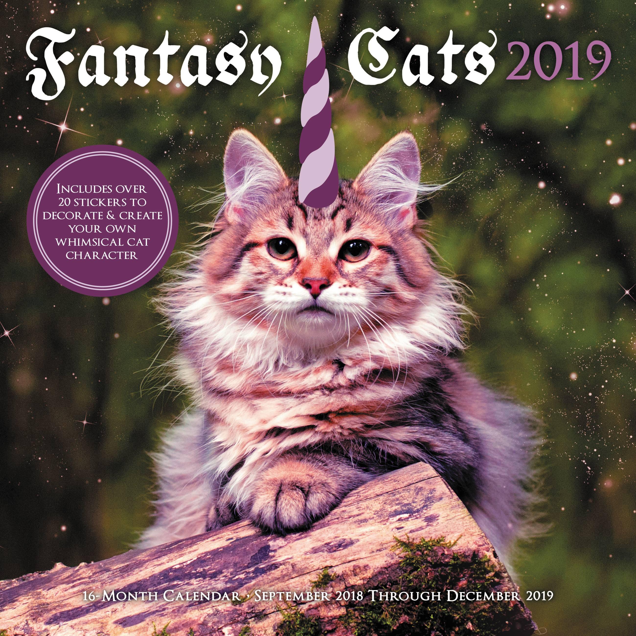 Vorderes Coverbild Fantasy Cats 2019