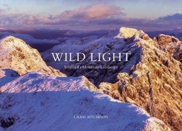 Vorderes Coverbild Wild Light