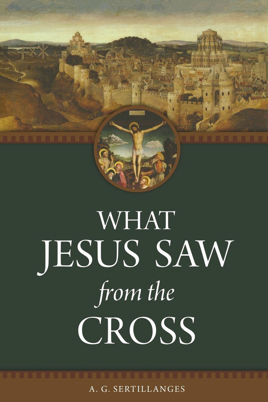 Vorderes Coverbild What Jesus Saw From the Cross