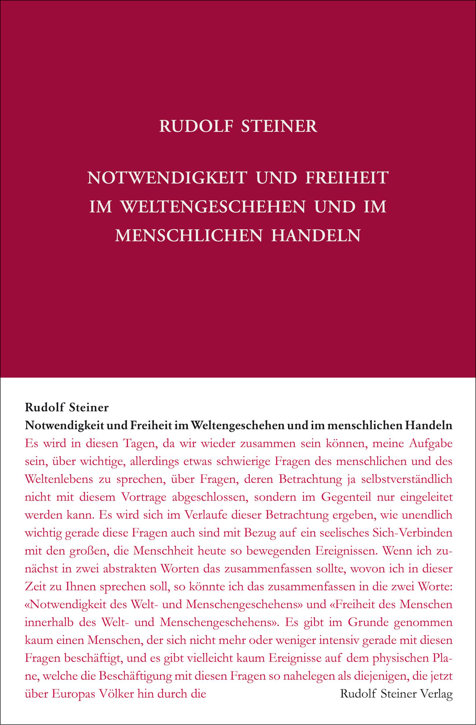 Vorderes Coverbild Notwendigkeit und Freiheit im Weltengeschehen und im menschlichen Handeln