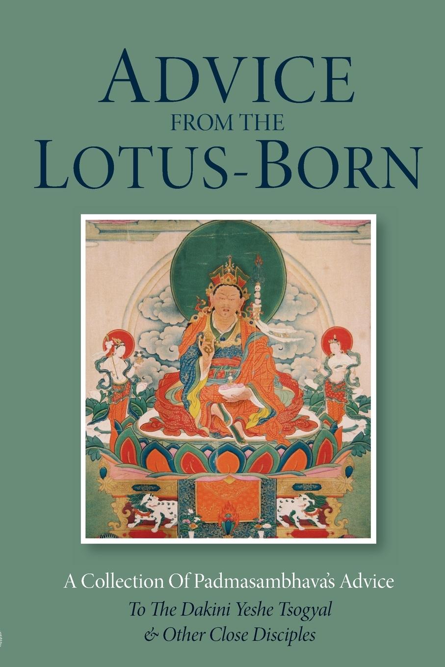 Vorderes Coverbild Advice from the Lotus-Born