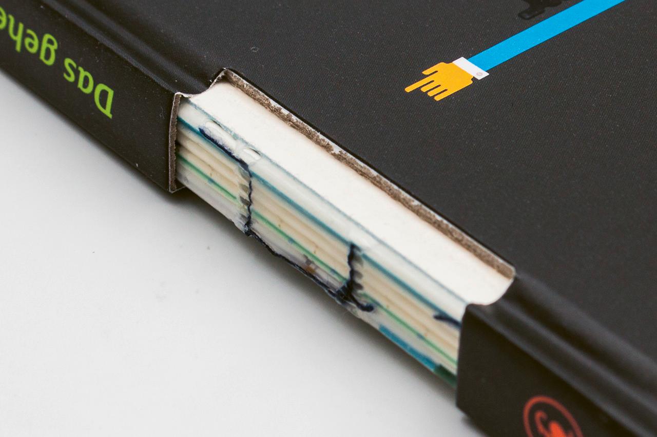 Beispielinhalt (Bild) Das geheime Leben der Bücher vor dem Erscheinen