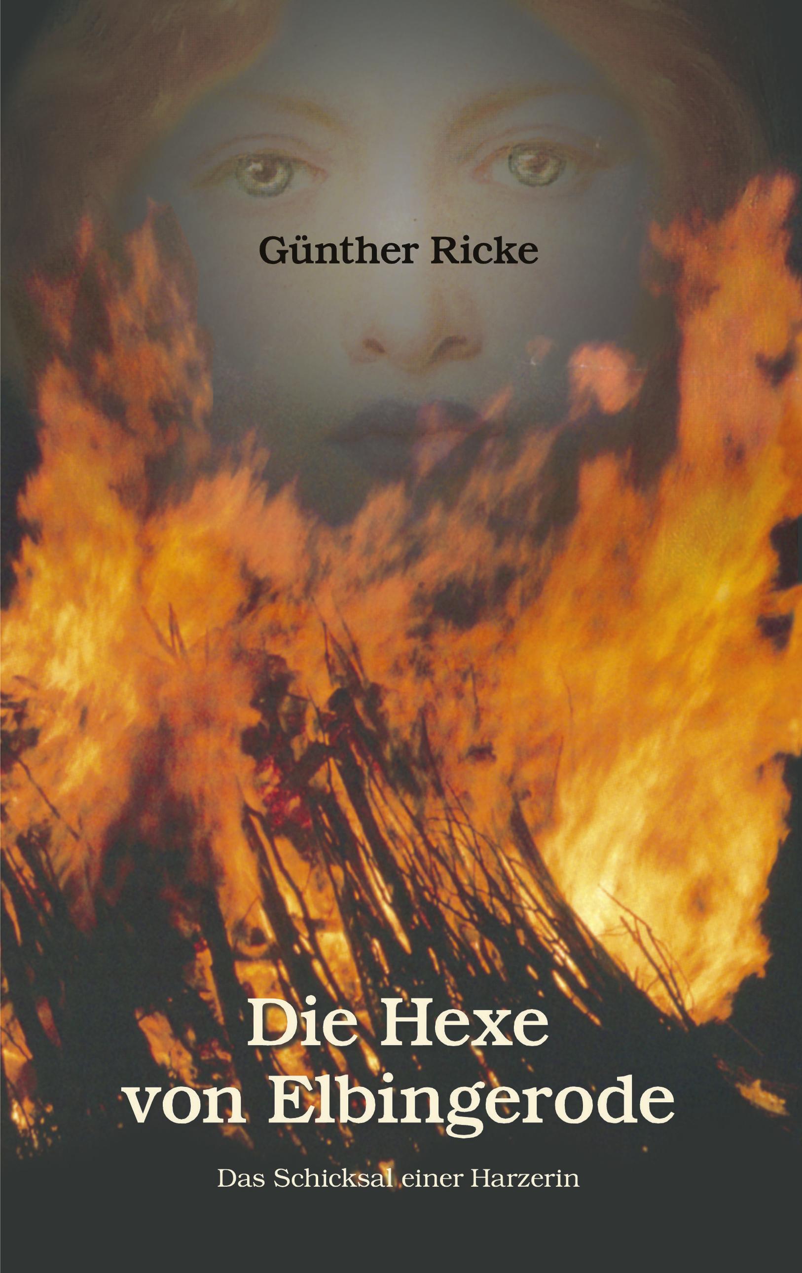 Vorderes Coverbild Die Hexe von Elbingerode