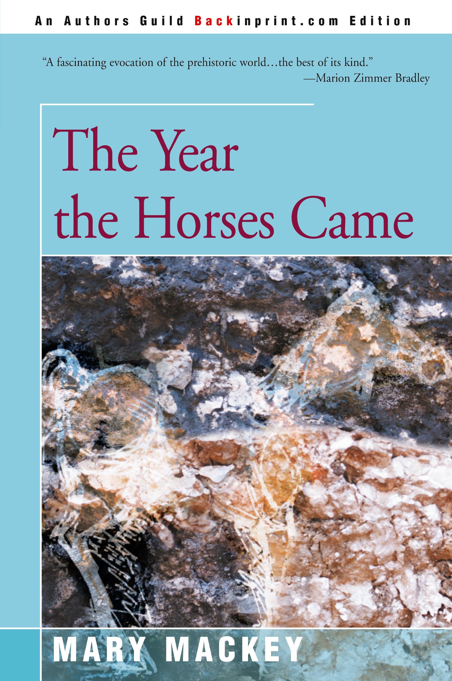 Vorderes Coverbild The Year the Horses Came