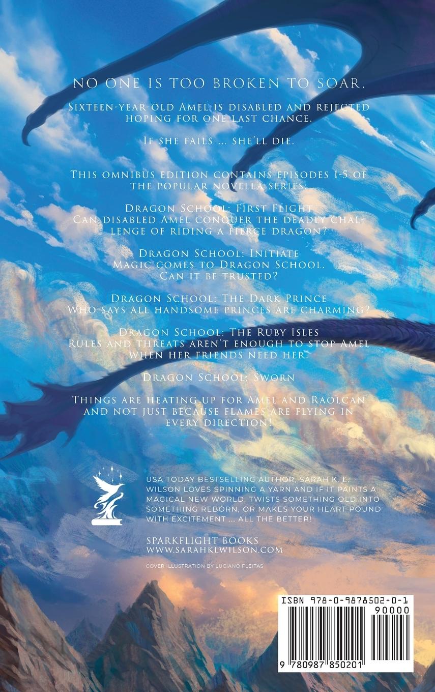 Rückseitencover Dragon School