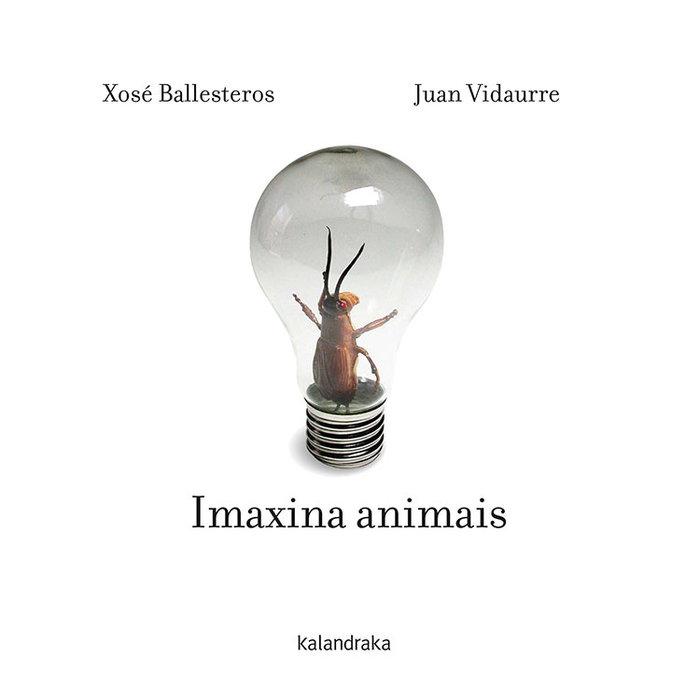 Vorderes Coverbild Imaxina animais