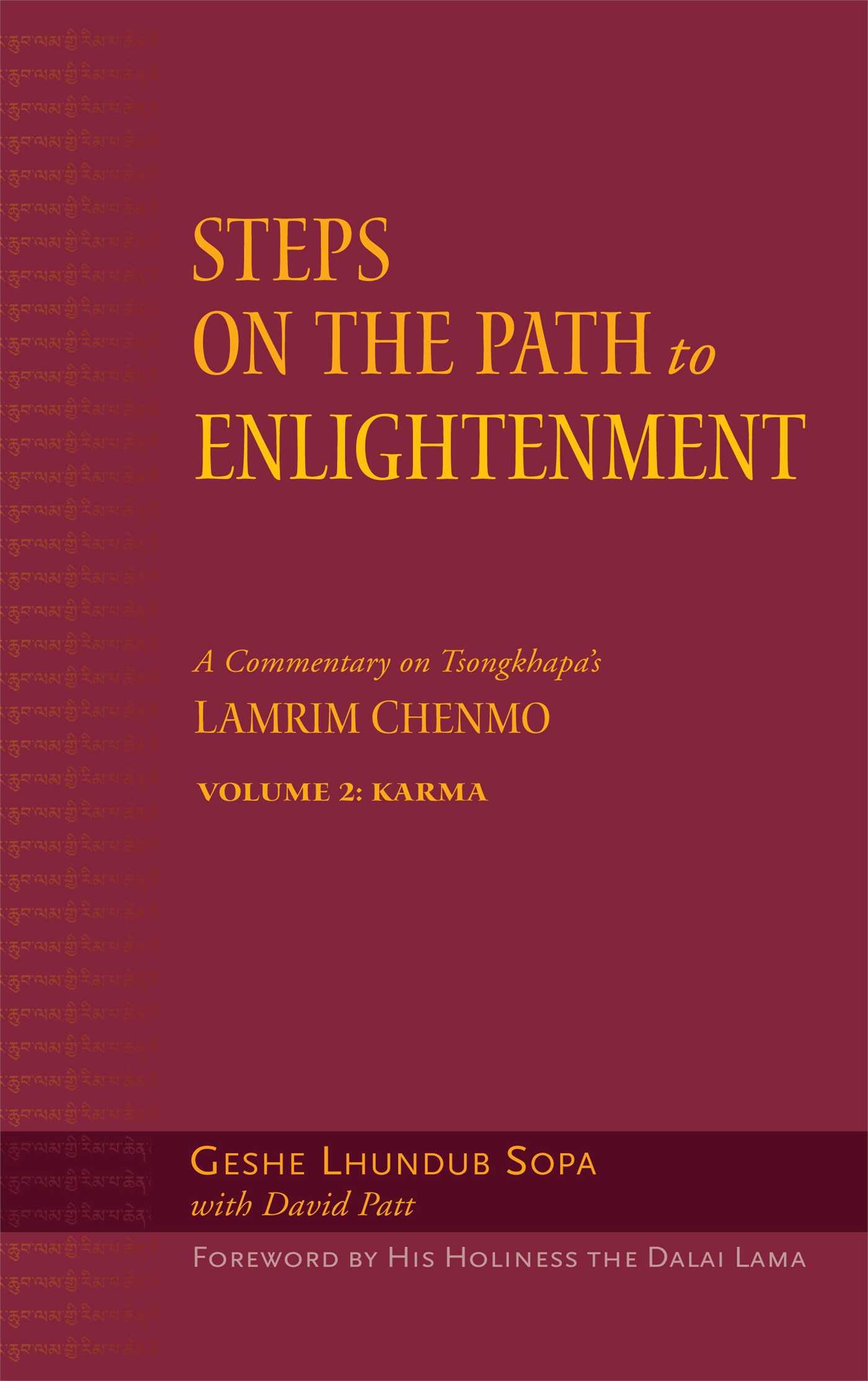 Vorderes Coverbild Steps on the Path to Enlightenment