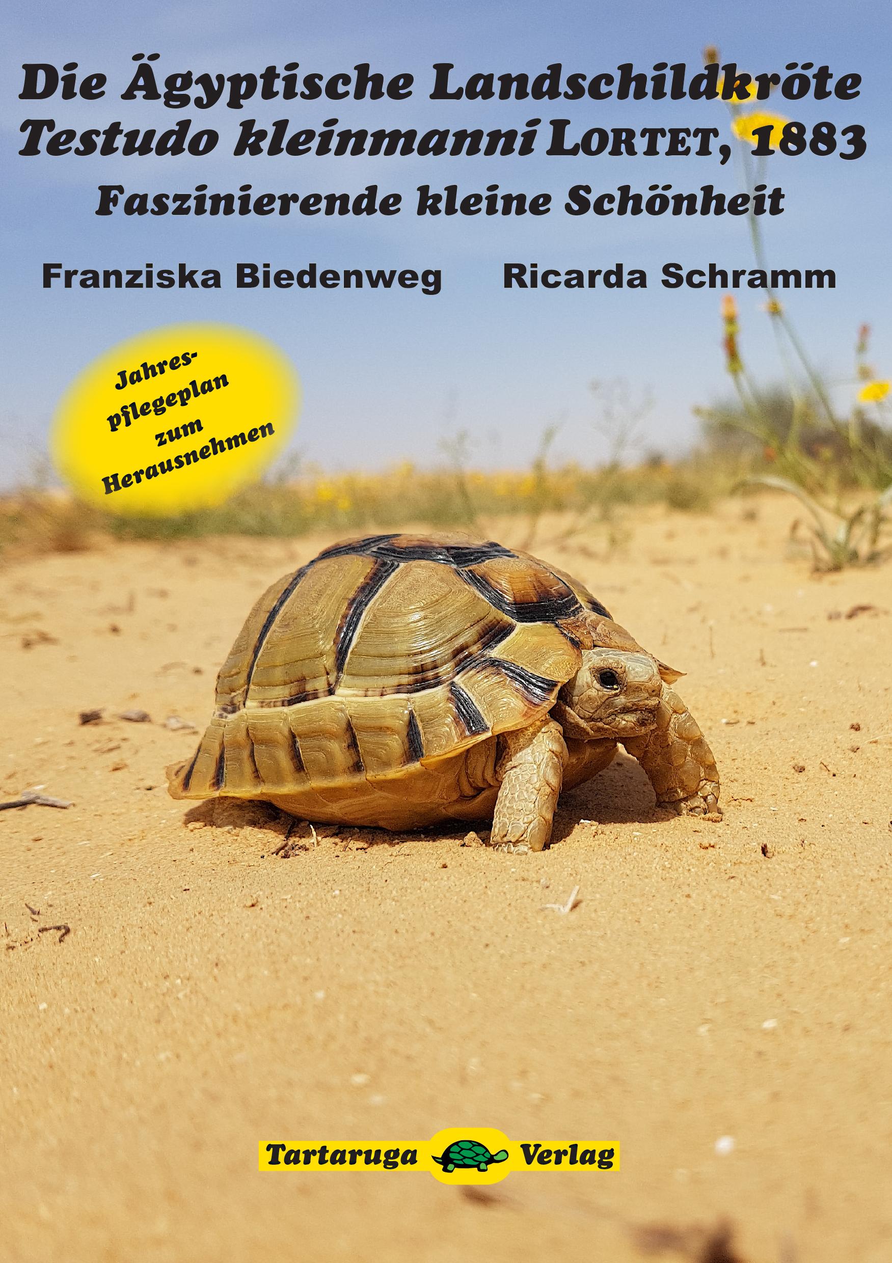 Vorderes Coverbild Die Ägyptische Landschildkröte Testudo kleinmanni LORTET, 1883