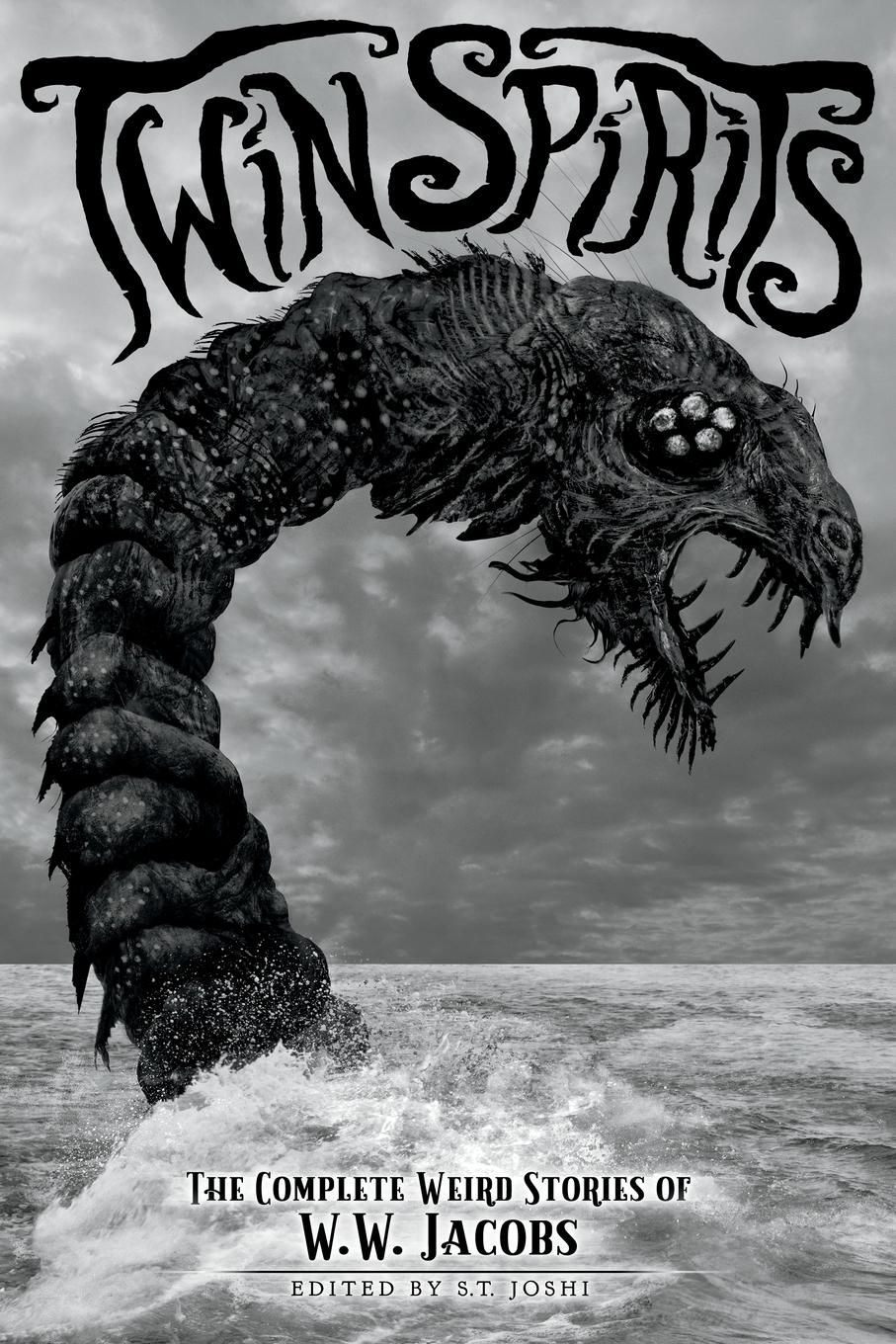 Vorderes Coverbild Twin Spirits