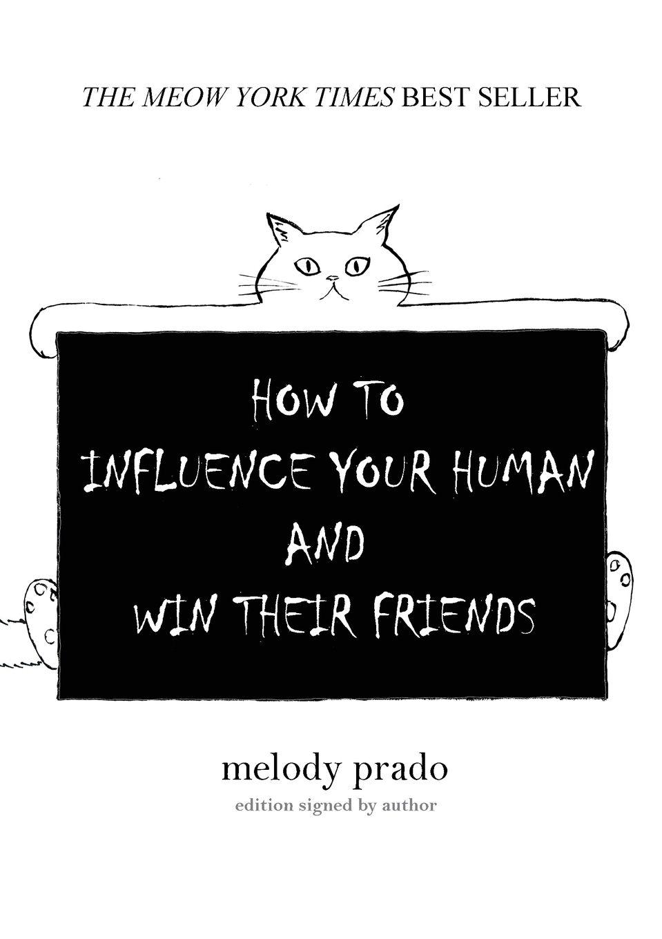 Vorderes Coverbild How to influence your human and win their friends