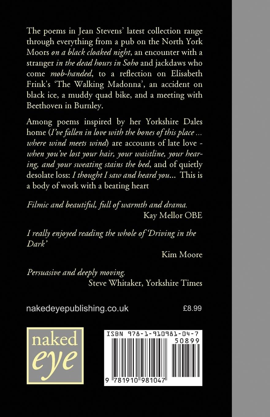 Rückseitencover Driving in the Dark