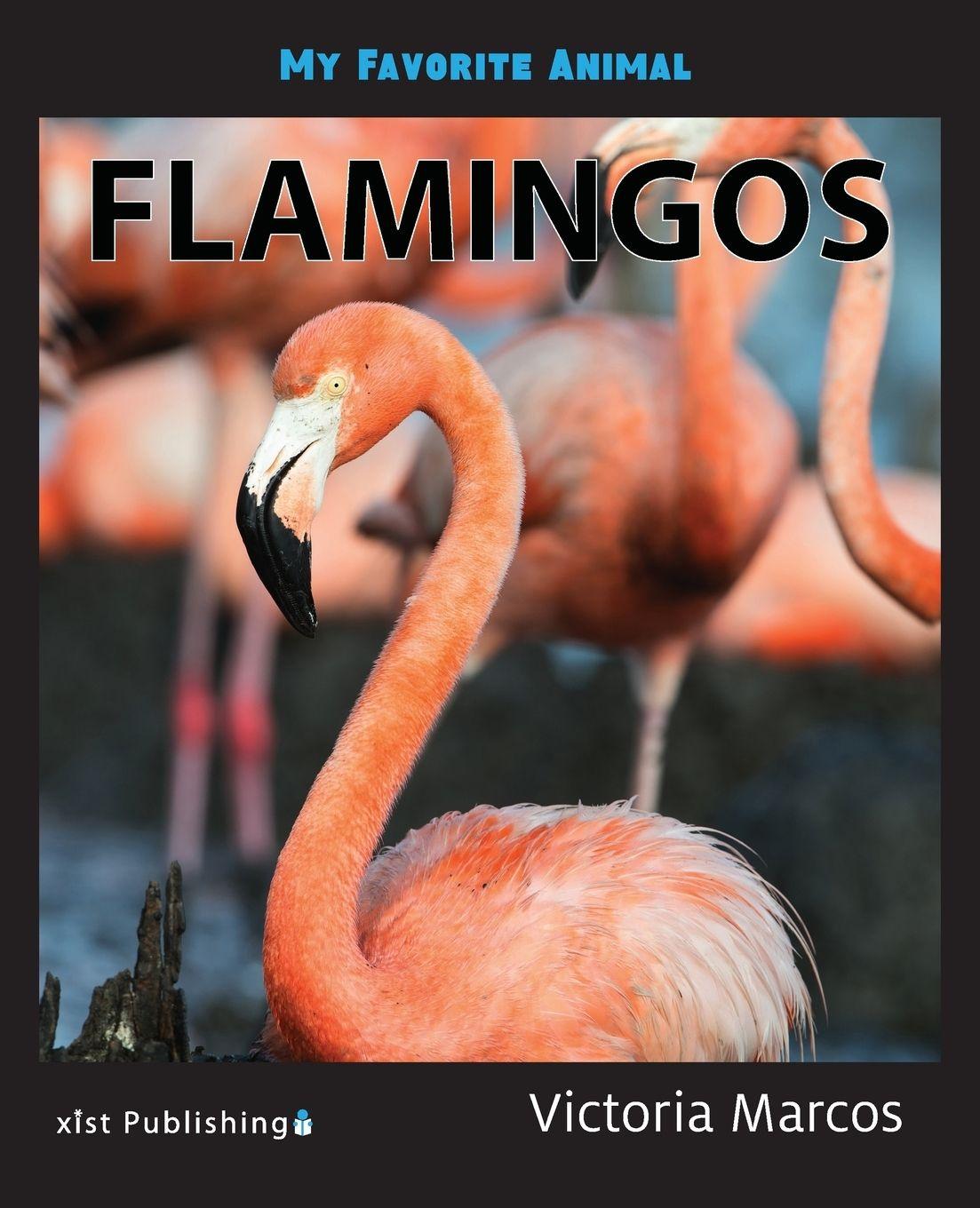 Vorderes Coverbild My Favorite Animal