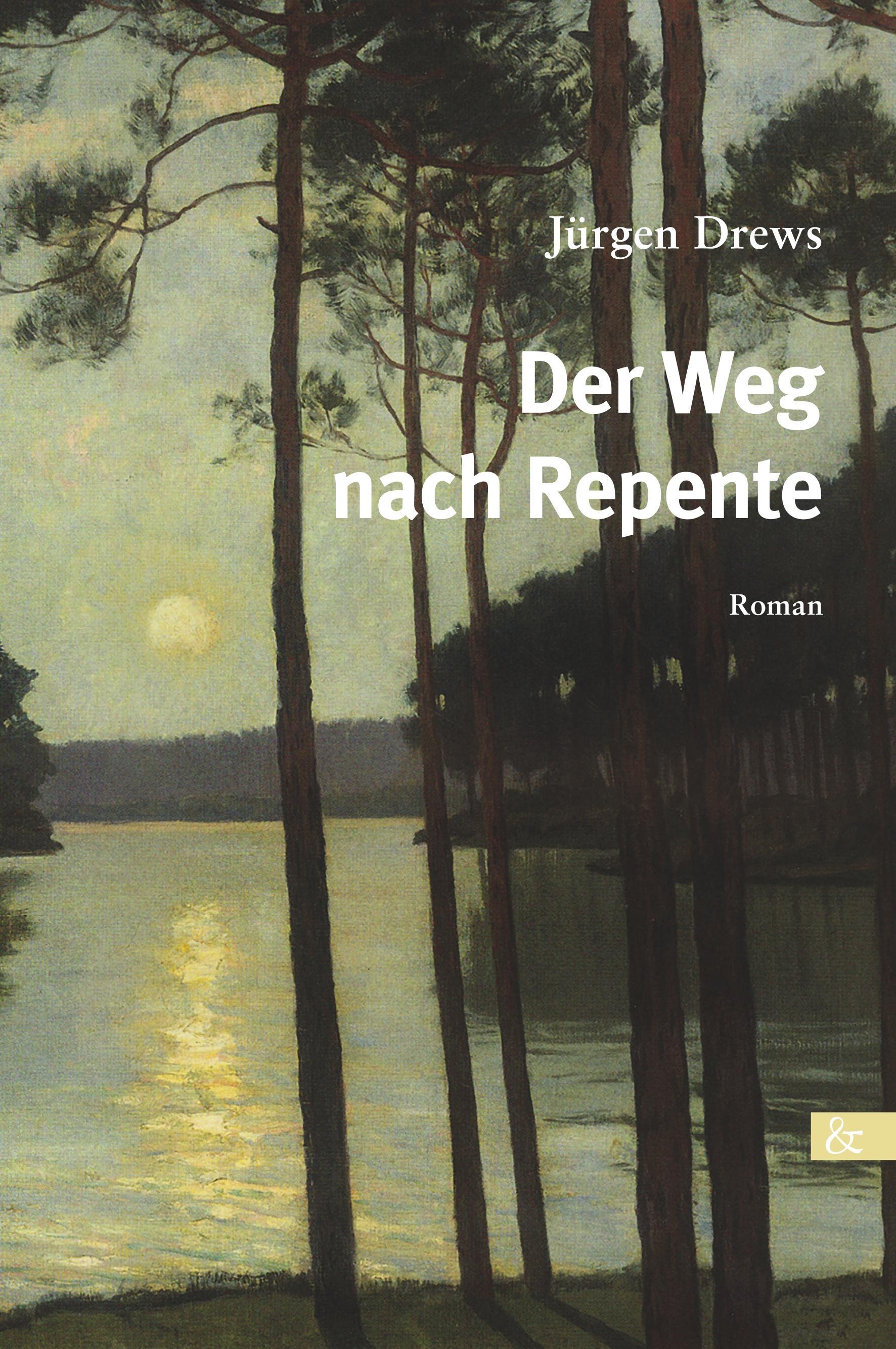 Vorderes Coverbild Der Weg nach Repente