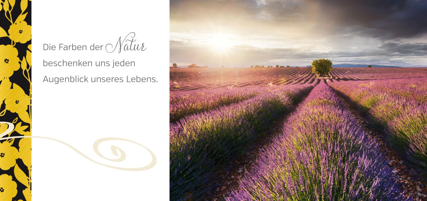 Beispielinhalt (Bild) Zum 80. Geburtstag alles Gute