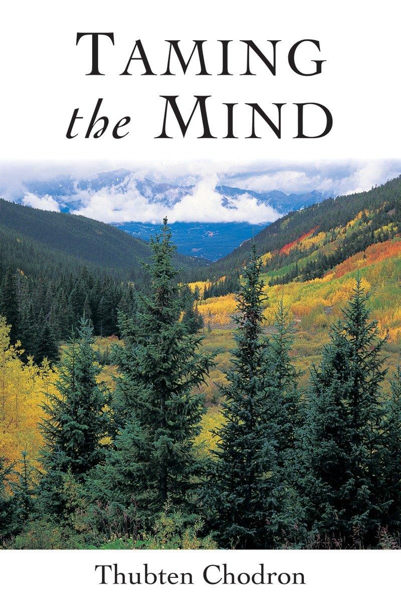 Vorderes Coverbild Taming the Mind