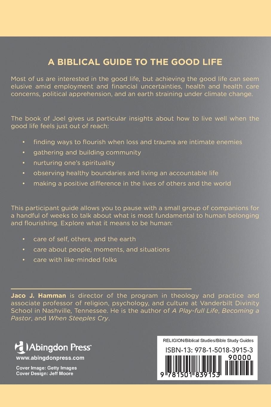 Rückseitencover The Millennial Narrative: Participant Guide