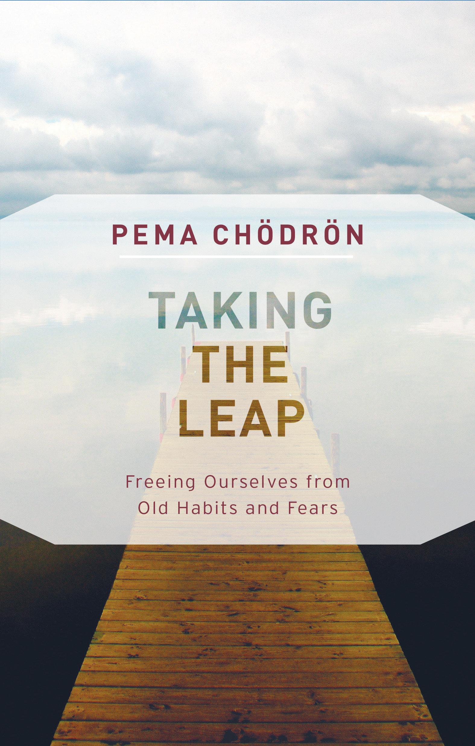 Vorderes Coverbild Taking the Leap
