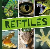 Vorderes Coverbild Reptiles