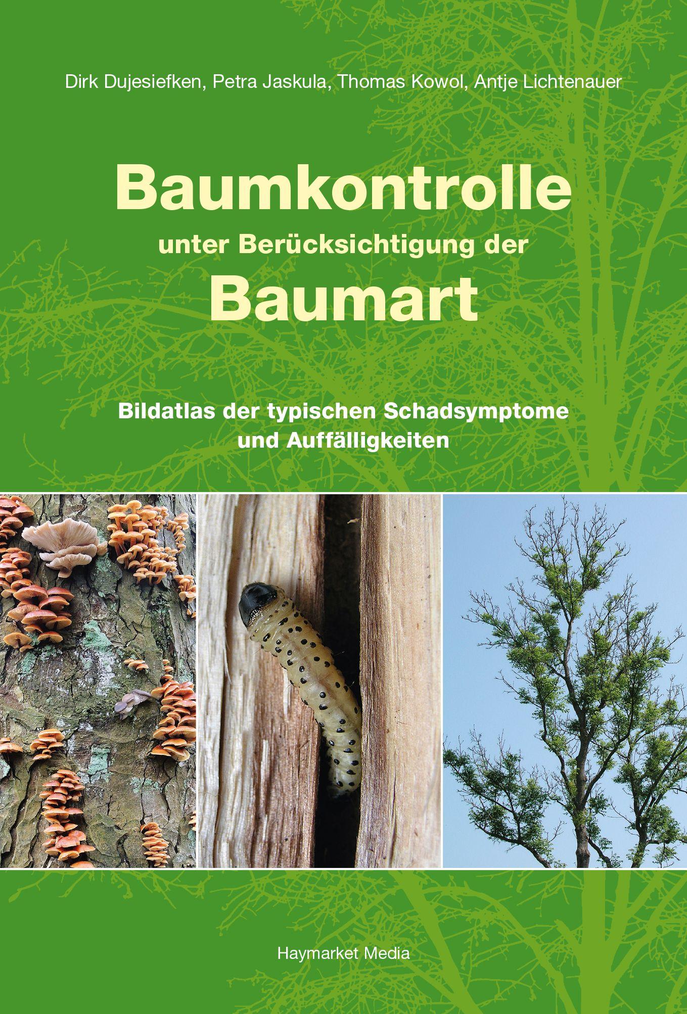 Vorderes Coverbild Baumkontrolle unter Berücksichtigung der Baumart