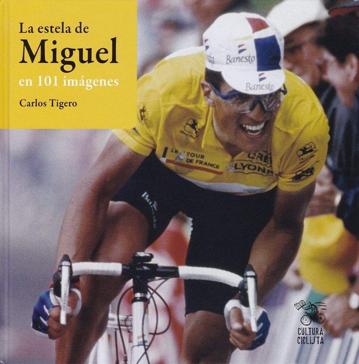 Vorderes Coverbild La estela de Miguel en 101 imágenes
