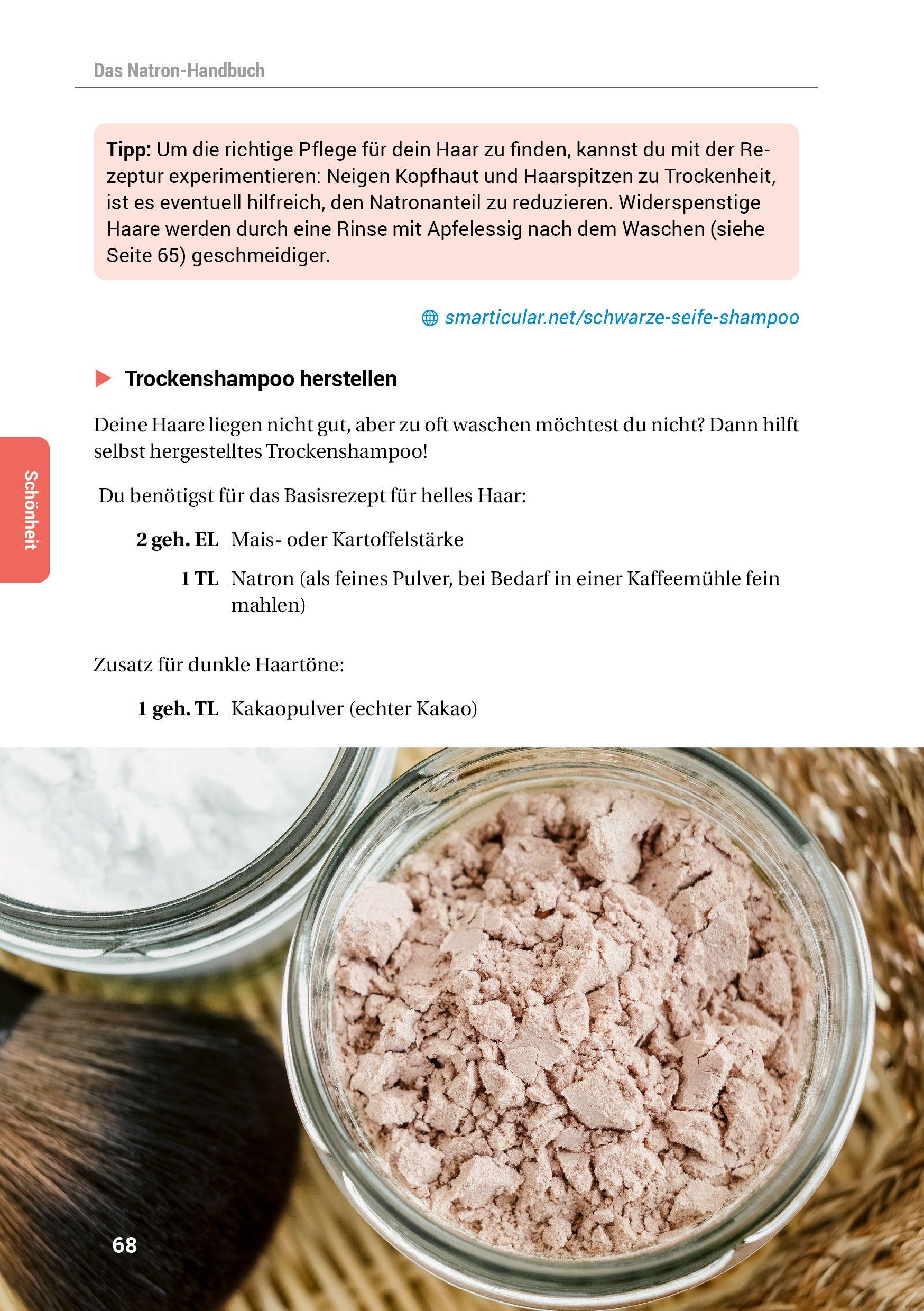 Beispielinhalt (Bild) Das Natron-Handbuch