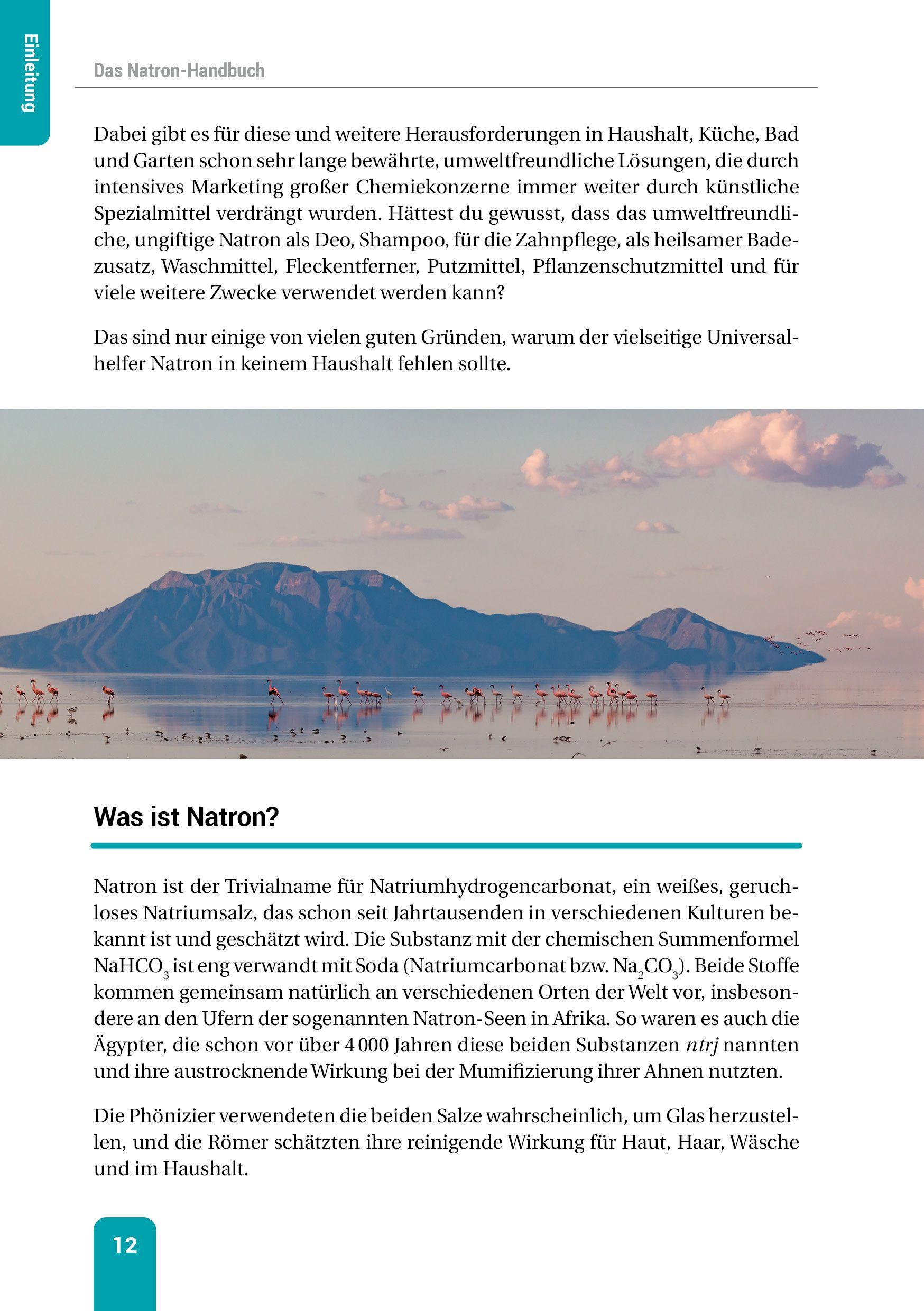 Beispielinhalt (Bild) Das Natron-Handbuch