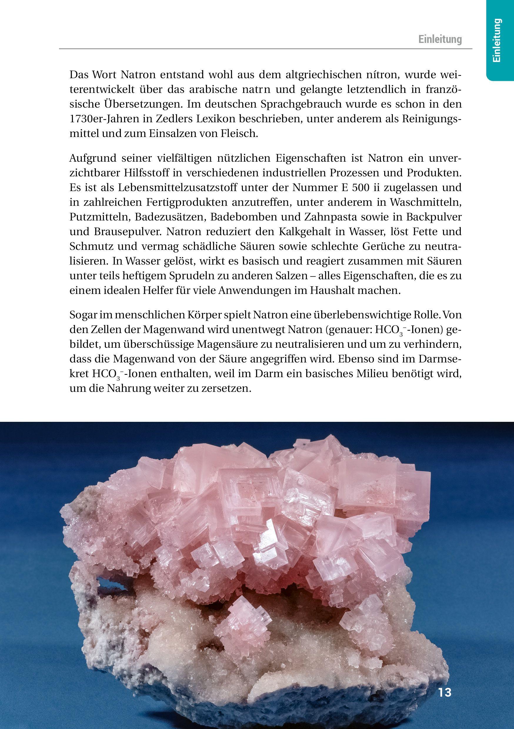 Beispielinhalt (Bild) Das Natron-Handbuch