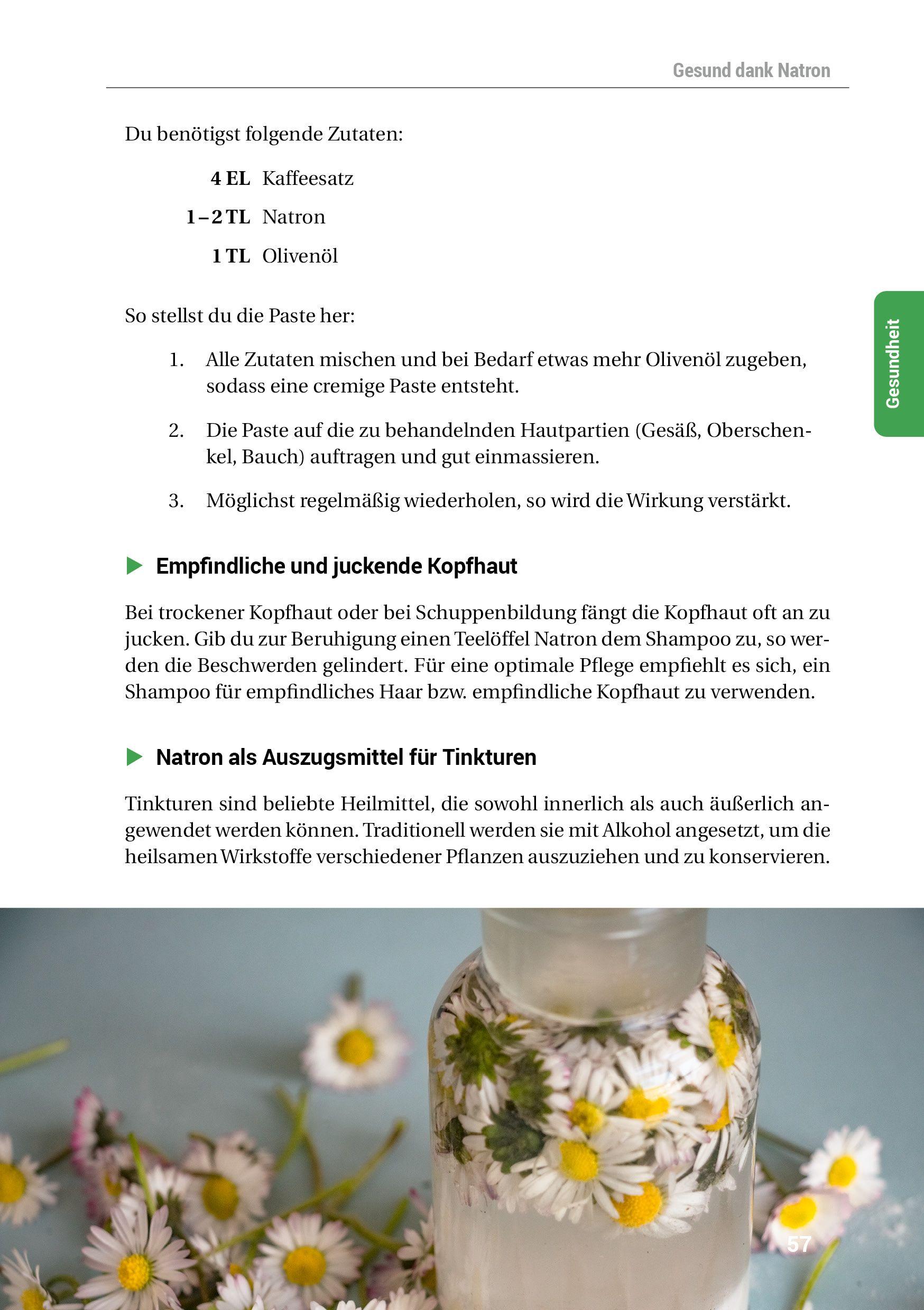 Beispielinhalt (Bild) Das Natron-Handbuch