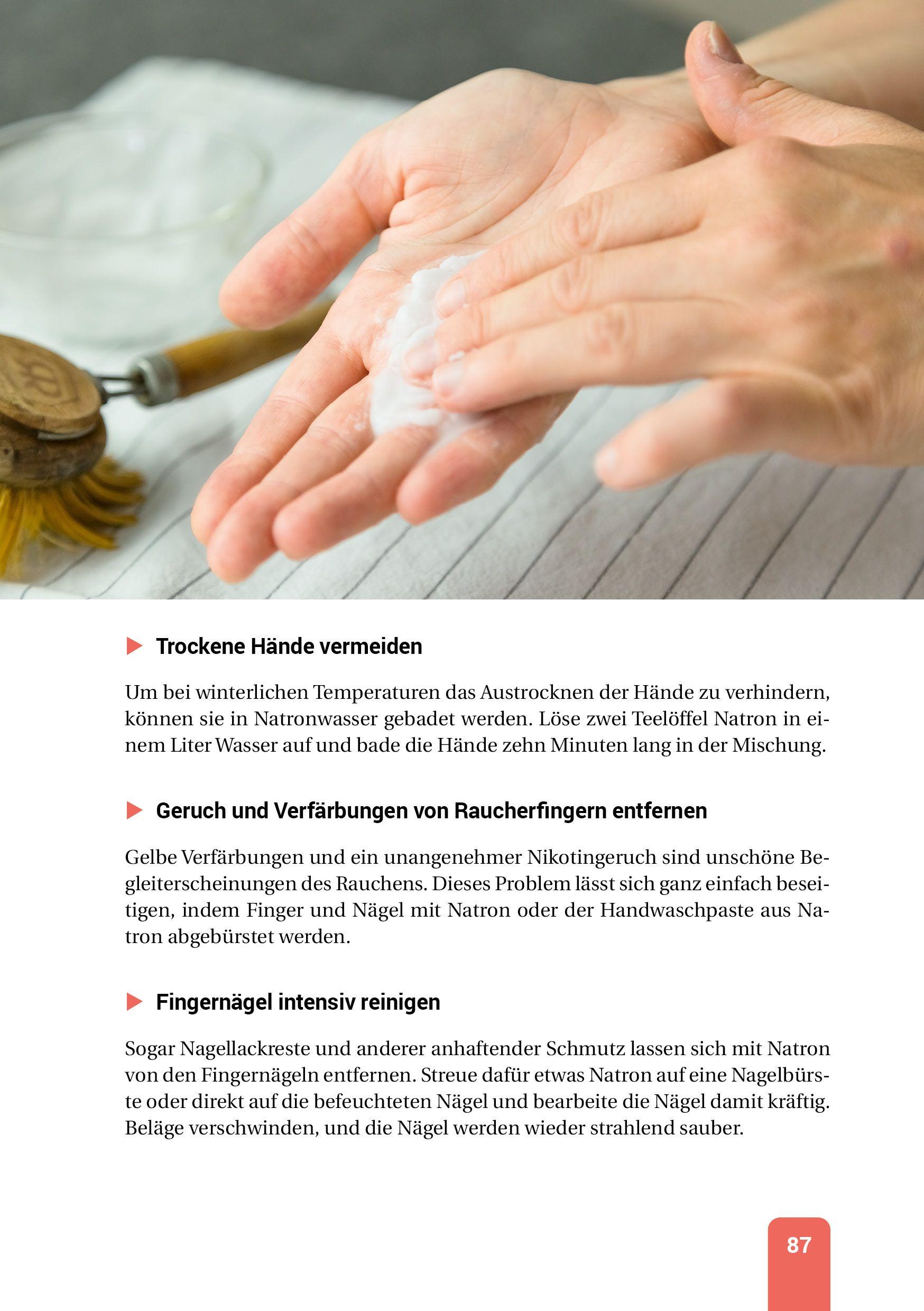 Beispielinhalt (Bild) Das Natron-Handbuch