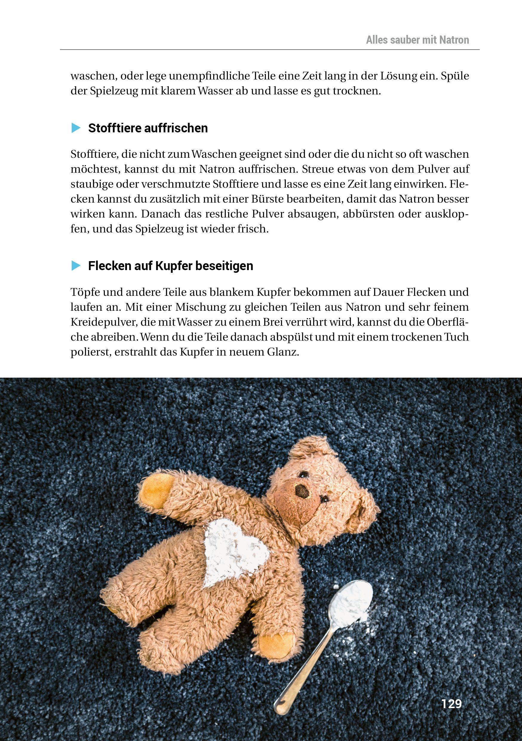 Beispielinhalt (Bild) Das Natron-Handbuch
