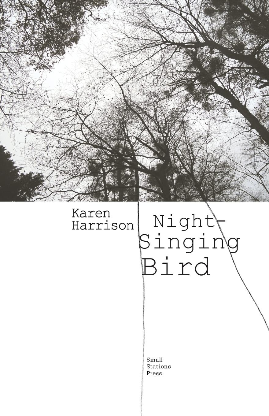 Vorderes Coverbild Night-Singing Bird