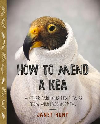 Vorderes Coverbild How to Mend a Kea