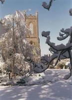 Vorderes Coverbild Taney