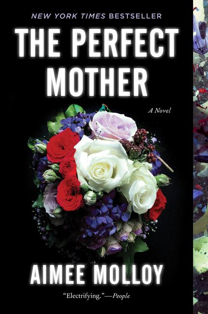 Vorderes Coverbild The Perfect Mother