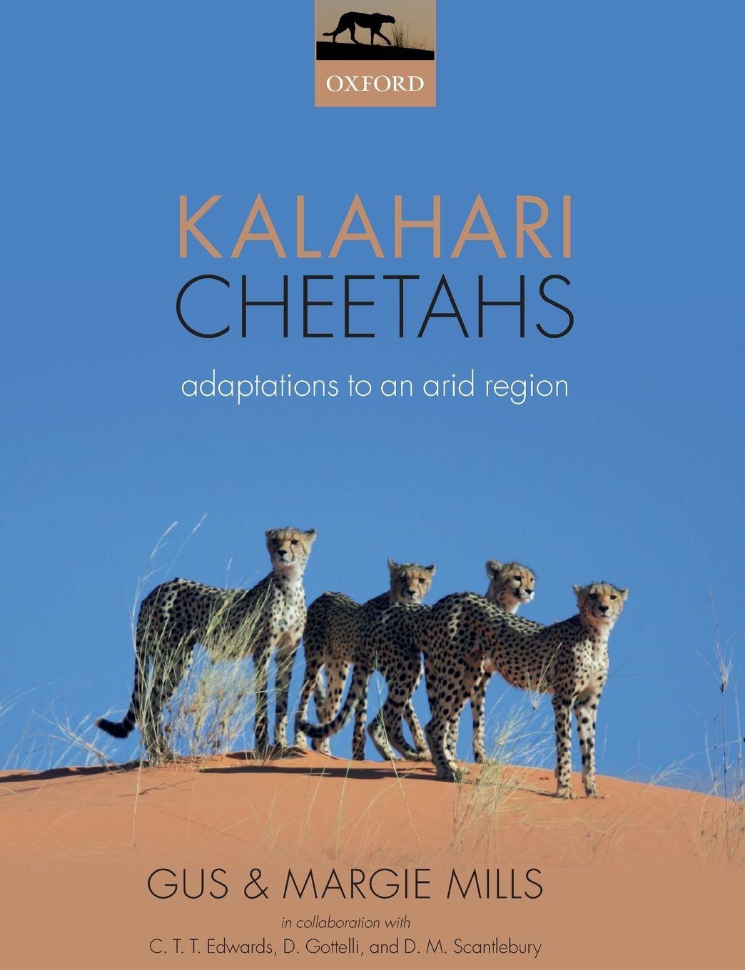 Vorderes Coverbild Kalahari Cheetahs