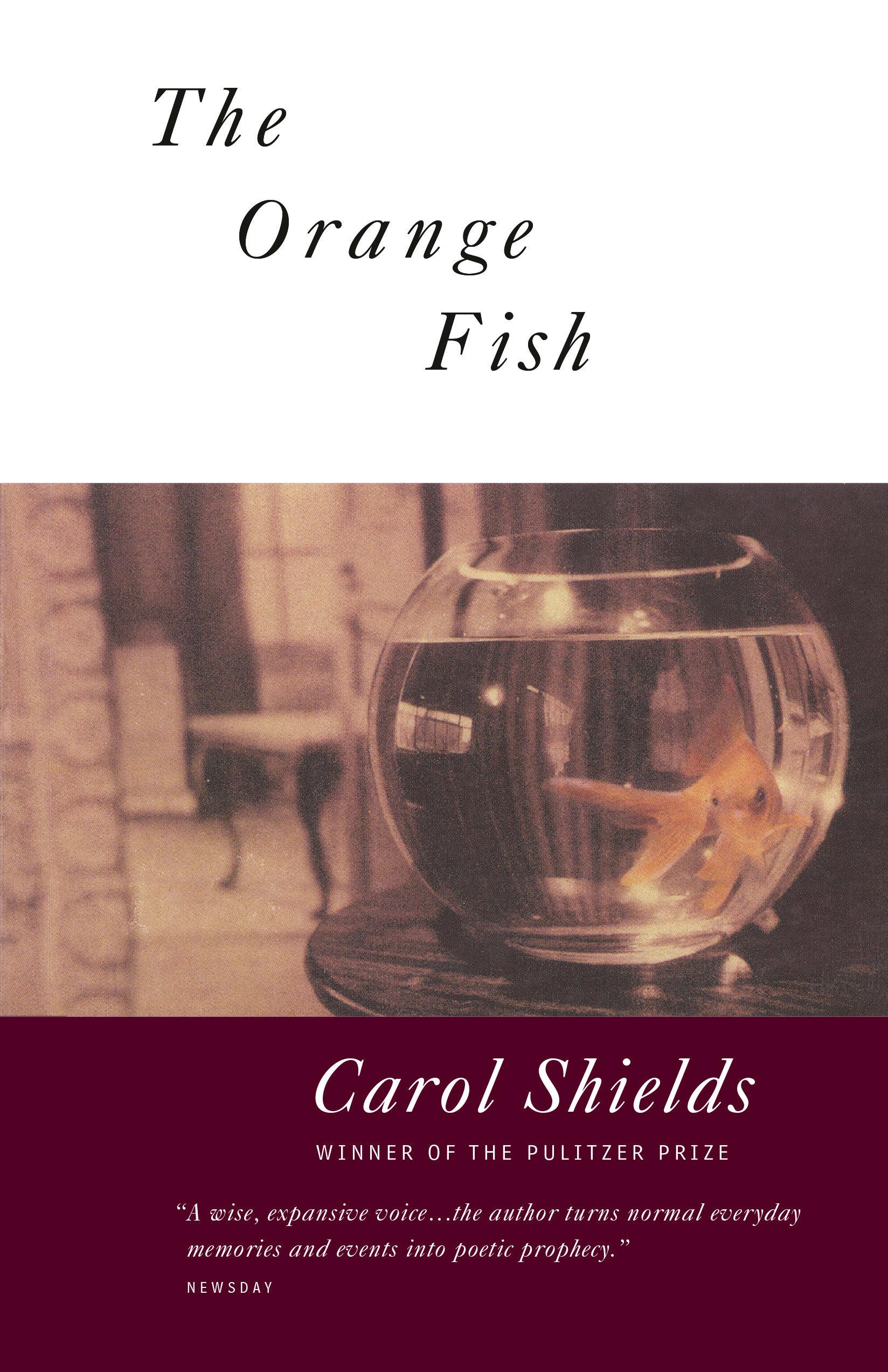Vorderes Coverbild The Orange Fish