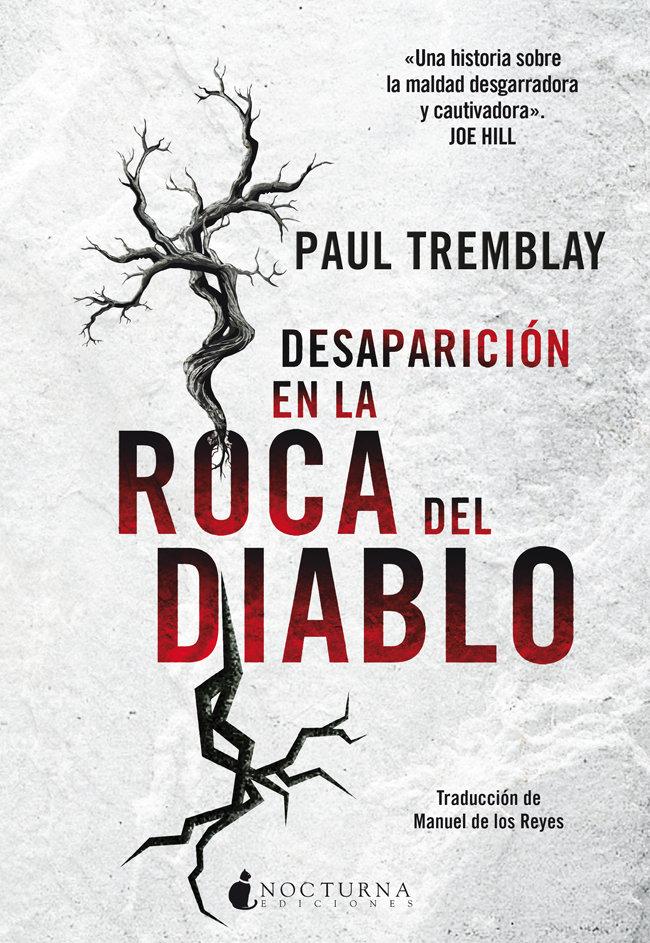 Vorderes Coverbild Desaparición en la Roca del Diablo