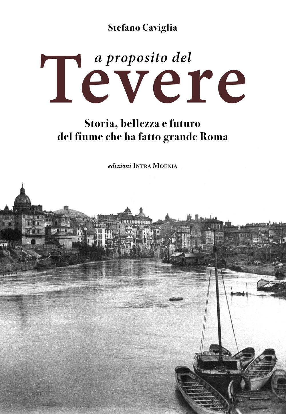 Vorderes Coverbild A proposito del Tevere. Storia, bellezza e futuro del fiume che ha fatto grande Roma