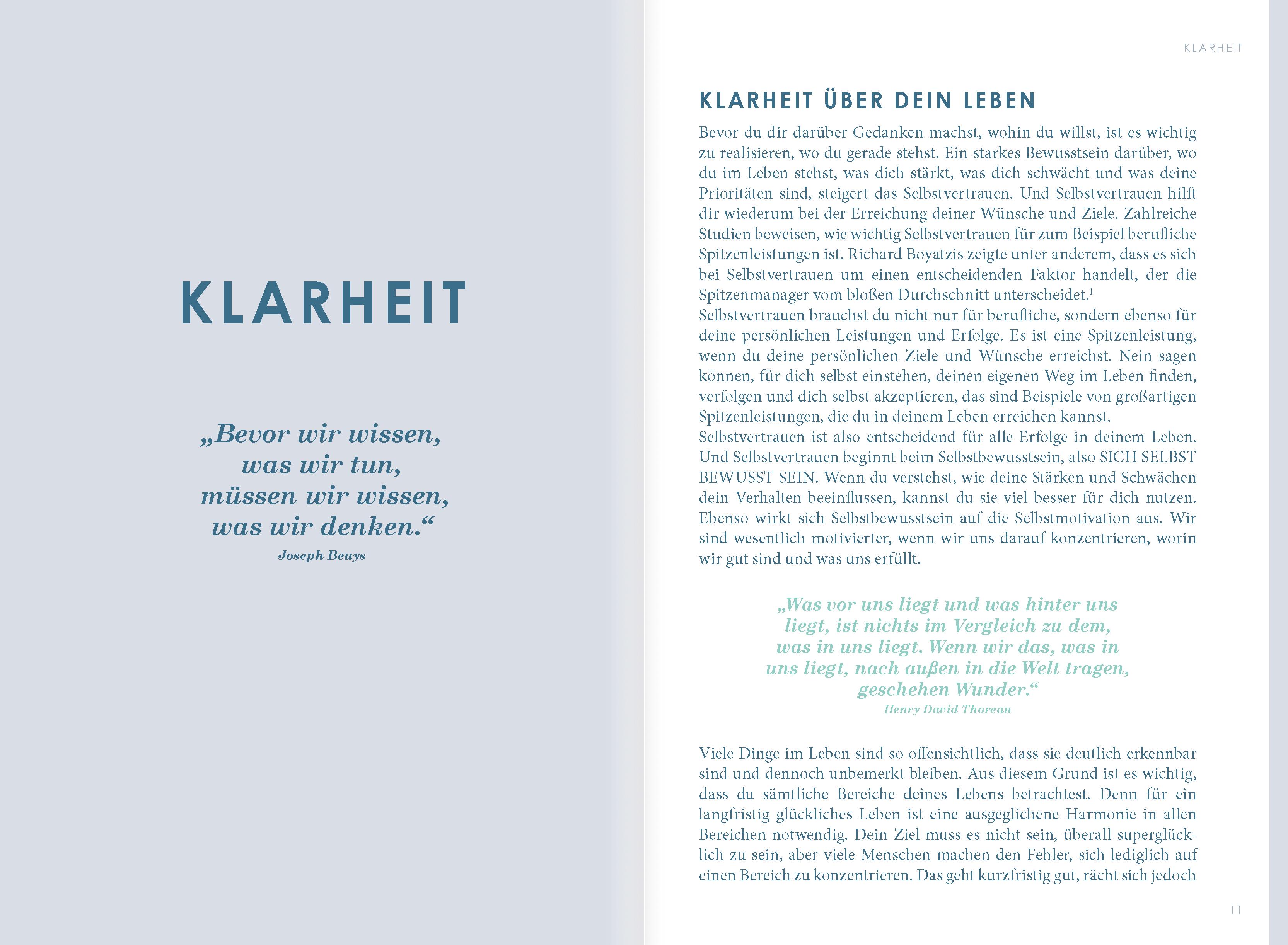 Beispielinhalt (Bild) THE NEW YOU (mint) - Das Buch, das dein Leben verändert.