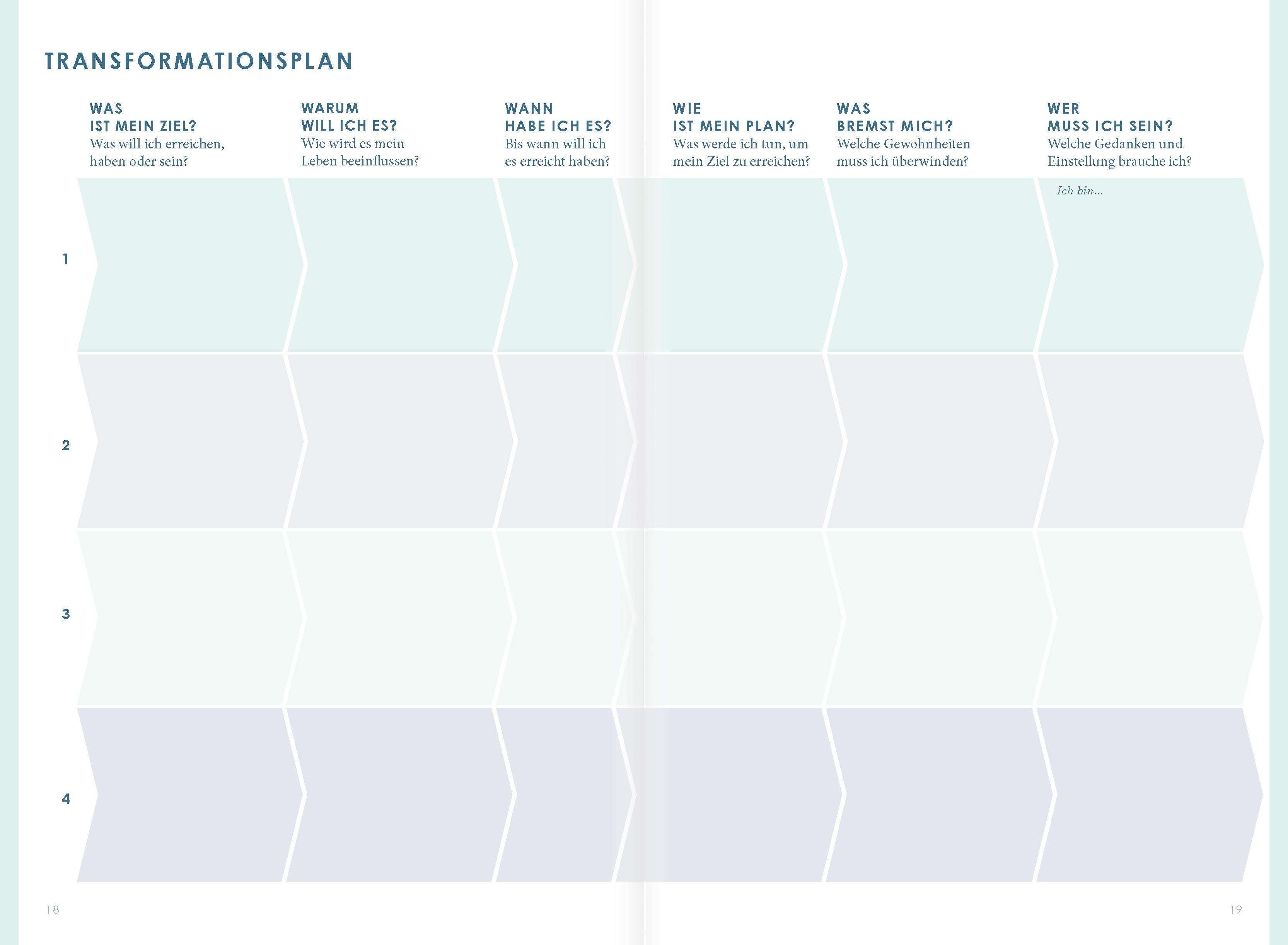 Beispielinhalt (Bild) THE NEW YOU (mint) - Das Buch, das dein Leben verändert.