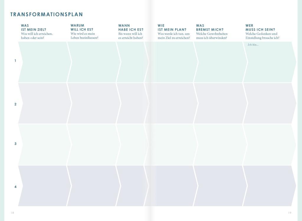 Beispielinhalt (Bild) THE NEW YOU (mint) - Das Buch, das dein Leben verändert.