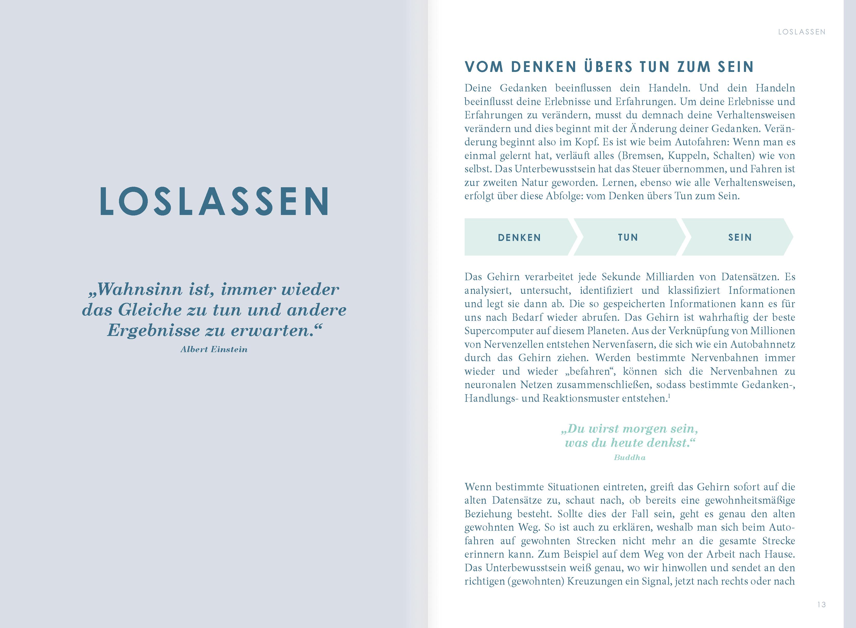 Beispielinhalt (Bild) THE NEW YOU (mint) - Das Buch, das dein Leben verändert.