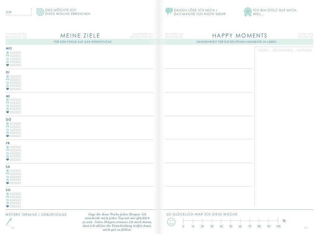 Beispielinhalt (Bild) THE NEW YOU (mint) - Das Buch, das dein Leben verändert.